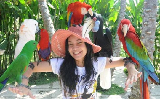 bali-bird-park