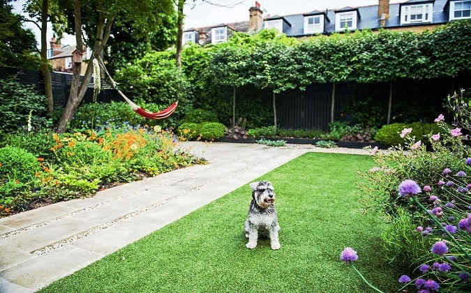 Landscaping Design Ideas That Are Pet, Landscaping Ideas For Yards With Dogs